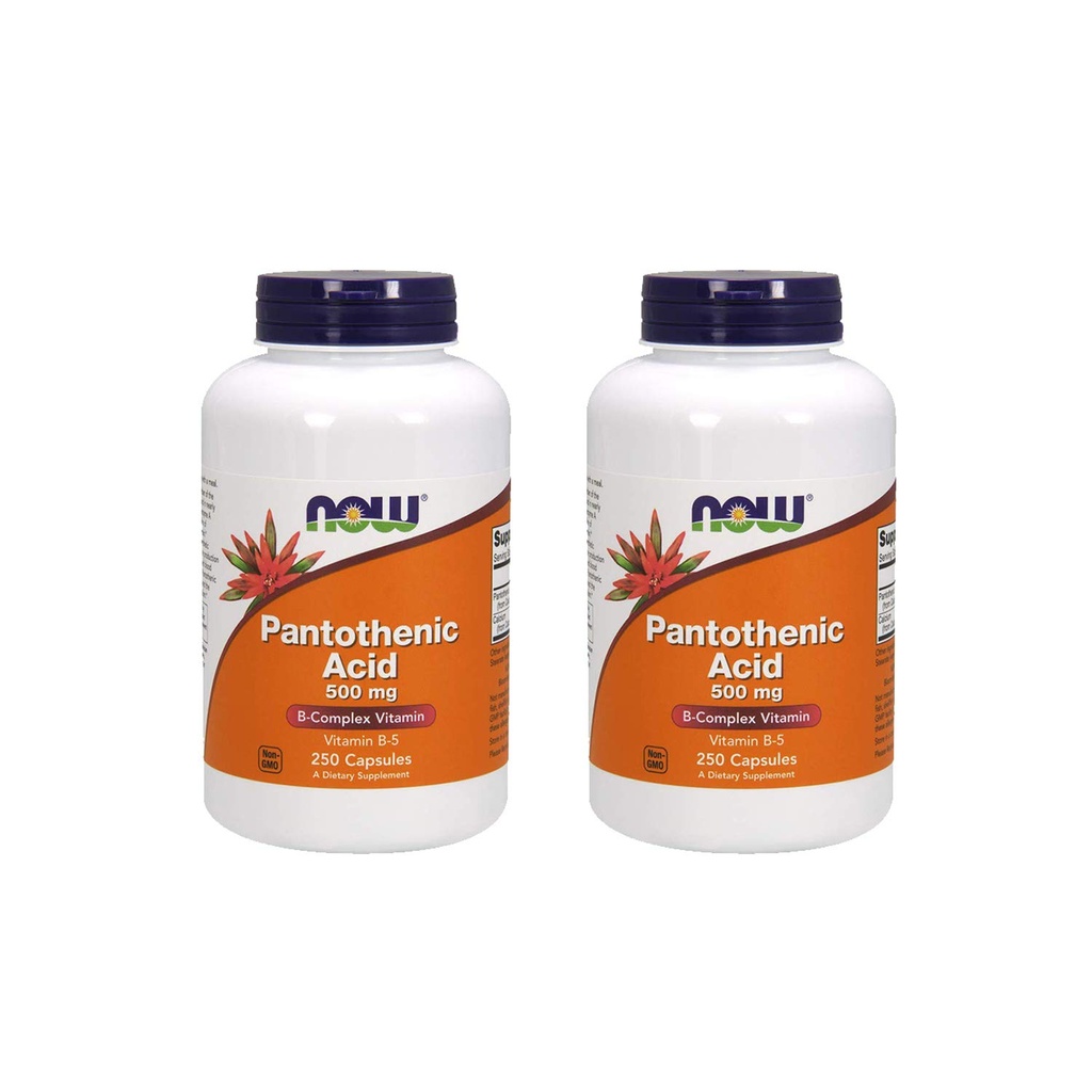 Agora Alimentos Ácido Pantotênico 500 mg, 250 Cápsula (2 embalagem)