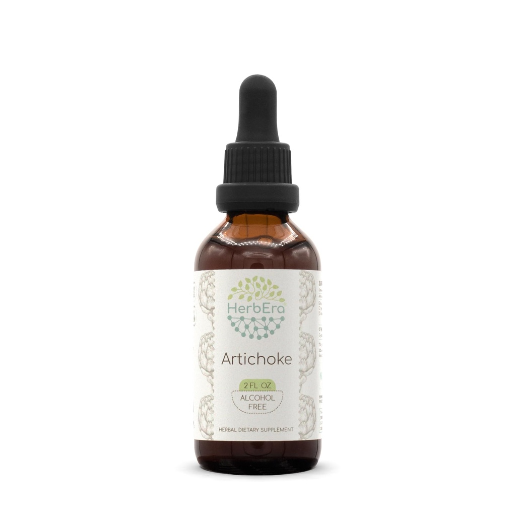 HerbEra Alcachofra B60 Extrato de ervas sem álcool Tintura, gotas de líquido concentradas Alcachofra natural (Cynara scolymus) (2 fl oz)