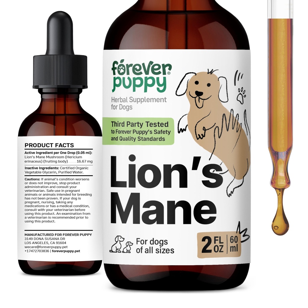 Everever Lions Mane Mushroom Supplement for Dogs - Cérebro & Focus Support - Líquido Leão Mane Mushroom for Dogs - Canine Vitaminas e Suplementos - Sugar & Alcohol-Free Drops - 2 fl oz