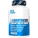 EVL L-Carnitina Suplemento para suporte de perda de peso - L Tartarato de Carnitina para suporte de foco de energia celular Endurance e queima de gordura - Estimulante Aminoácido livre para metabolismo de gordura (120 Servões)