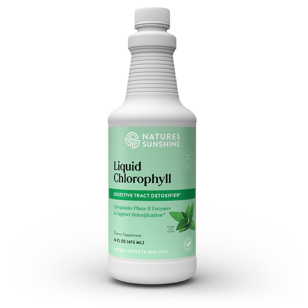 Clorofila Líquida Sol da Natureza - Suporte de Imunidade, Desintoxicação e Limpeza, Gotas Líquidas Clorofílicas com Óleo de Spearmint, Aumento de Energia Natural, Desodorante Interno - 16 Fl Oz