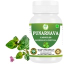 Cápsulas de Punarnava (Boerhaavia Diffusa) 500mg – 60 Veg Cápsulas de Herbal Wellness Supplement for Natural Rim & Fígado Support