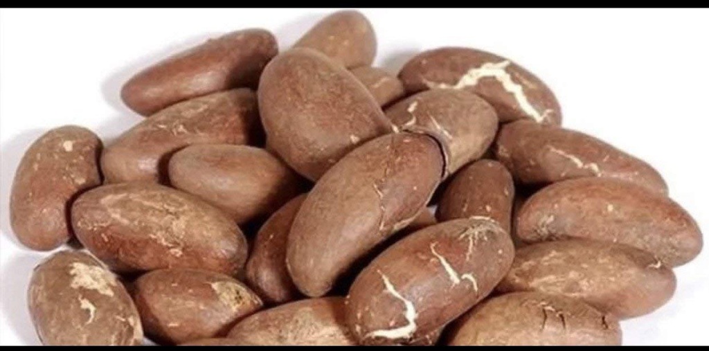 Amargo Kola Nut Garcinia Kola Cola 1 Lb
