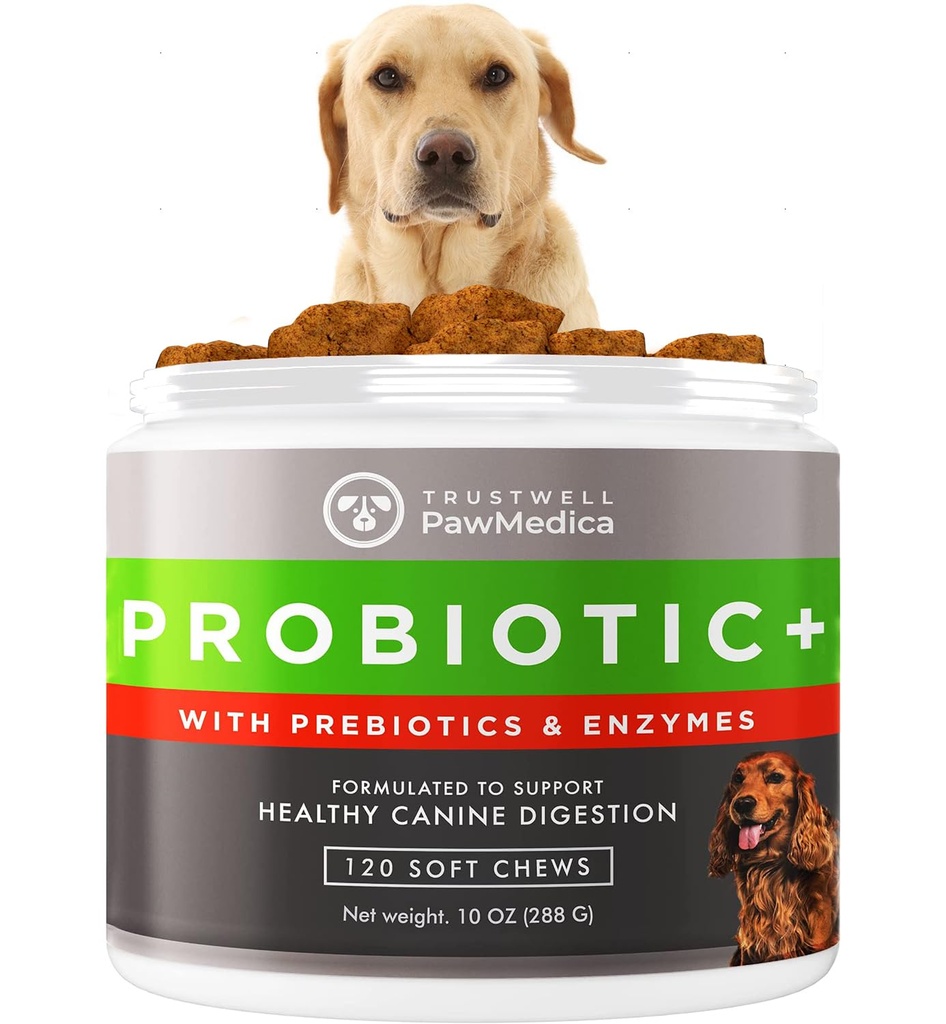PataMedica Dog Probióticos e Enzimas Digestivas, Probióticos para cães Made in USA, Pet Probiótico Mastiga para cães, Prebióticos & Probiótico Dog Digestive Support, Probiótico Doces - 120 Dog Probiótico Mastiga