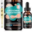 Suplemento de Glutationa lipossómica - 2000mg Gotas Líquidas de Glutationa com Vitamina C, Curcumina e Trans-Resveratrol - poderoso antioxidante para imune, saúde da pele, defesa do envelhecimento e detox do fígado - 2 Fl Oz