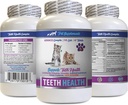 Travessura ruim do gato - Saúde dos dentes CAT - Complexo de Saúde da Boca Avançada - Imune Boost - biotina para gatos - 1 garrafa (60 comprimidos)
