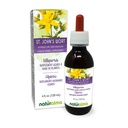 Naturalma St. John's Wort (Hypericum perforatum) erva com flores Tintura sem álcool - 4 fl oz extrato líquido em gotas - Suplemento de ervas - Vegan