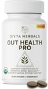 Gut Health Pro - Bloat Alívio, Detox & Suporte Digestivo - 100% Puro Suplemento Triphala Orgânico - para Mulheres & Homens - Não revestido Tablets Vegan -120Ct