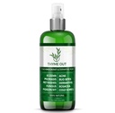 Tratamento de Eczema Natural - Tratamento de Psoríase - uma solução All-in-One para Acne, Dermatite, Rosacea, Soros Frios, Mordidas, Hera Veneno - Spray Anti-Itch para alívio da pele comichão 4 onças