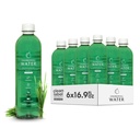 Chlorophyll Water – Liquid Chlorophyll 6-Pack (16.9 oz) □ Beauty Drink for Glowing Skin, Anti-Aging & Oxygen Boost .