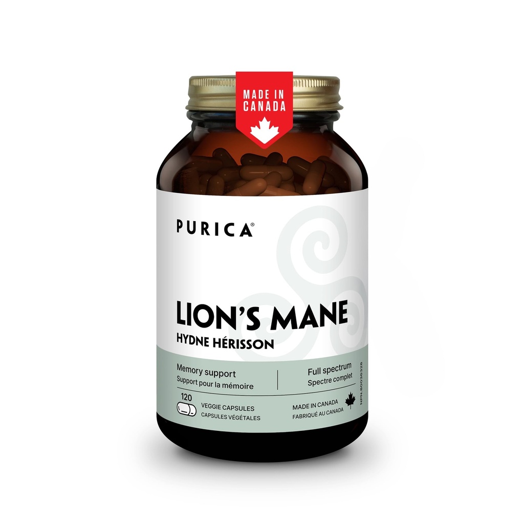 PURICA - Mane de Leão Micronized cogumelos, 120 cápsulas Vegan 60-Dia Fornecimento - Promove a saúde cognitiva - Não-GMO e sem glúten - Foco e suporte de memória - Saúde do cérebro e melhorar a digestão