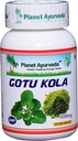 Planeta Ayurveda Gotu Kola, 500mg Veg Cápsulas-Uma única garrafa