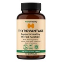 Suplemento de suporte da tireóide – Iodo, Kelp, Ashwagandha, Selênio, Zinco – Suporta Energia, Metabolismo e Equilíbrio Hormônio – L-Tirosina, Schisandra, Bladderwrack (Pacote de 1)