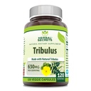 Herbal Secrets Tribulus 630 Mg 120 Veggie Capsules Supplement (Suplemento) Não-OGM Gluten Free (Gluten)