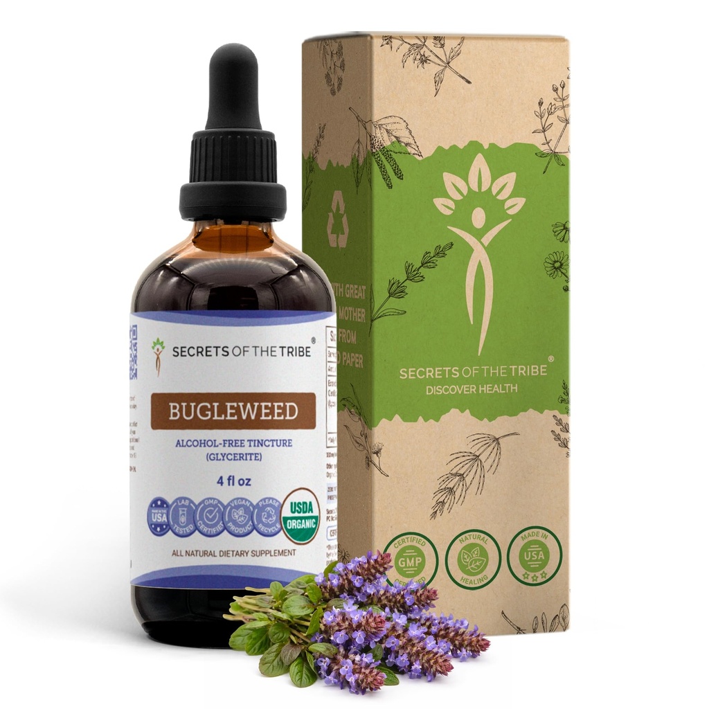 Segredos da tribo Bugleweed Tintura extrato líquido sem álcool, USDA Bugleweed orgânico (Lycopus Virginicus) Herb seco (4 FL OZ)