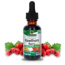 Resposta da natureza Hawthorn Berries □ Promove a função de circulação saudável □ Ajuda a manter níveis de colesterol saudável □ Sem glúten, livre de álcool, Kosher certificado e sem conservantes 1 oz