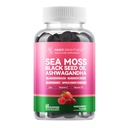 Sea Moss 4000mg Gummies with Ashwagandha, Elderberry, Apple Cider Vinagre, Bladderwrack, Burdock Root – Imune Support – Mixed Berry Flavor – 60 Count
