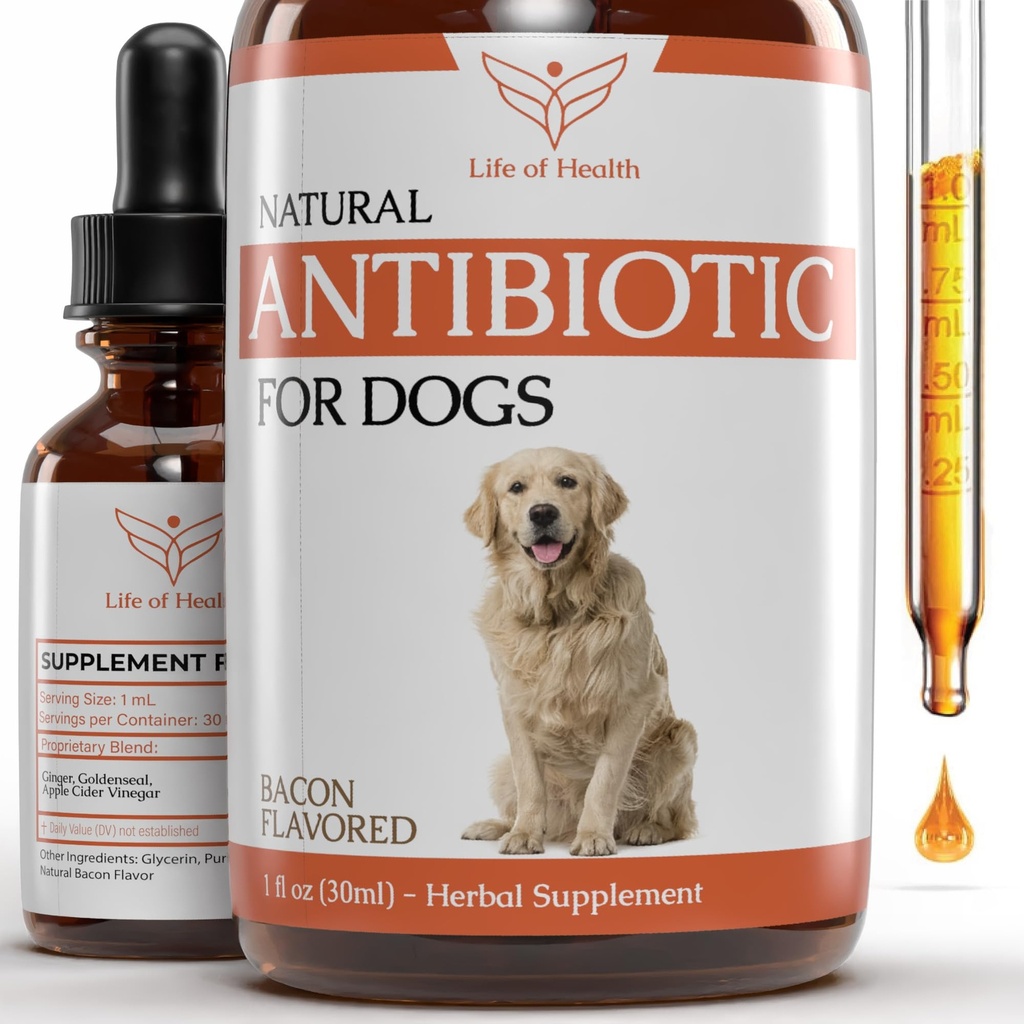 Antibióticos naturais para cães Antibióticos do cão Tratamento de Infecção de Orelha do cão Resgate de Coceira do cão Tratamento de Infecção de Levedura para cães Antibiótico do cão Antibióticos do cão Antibióticos do animal de estimação Antibióticos para cães