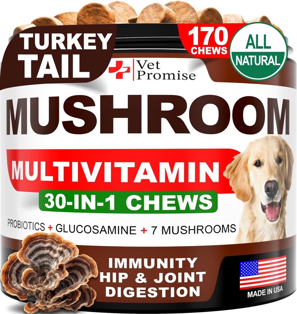 Cogumelo para Cães - 170 Mastigação - Turkey Tail - Suplemento de Cogumelo para Cães - Lions Mane - Reishi - Imunidade Suporte Vitaminas Multivitamin - Saúde Conjunta - Energia - Gut - Pele - Made in USA