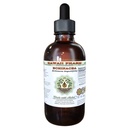 Echinacea Alcohol-free Liquid Extract, Echinacea (Echinacea Angustifolia) Glicerita de raiz seca Hawaii Pharm Natural Herbal Supplement 2 onças