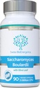Saccharomyces Boulardii 5 Bilhões UFC 90 Cápsulas - Sem Refrigeração Necessária - Levedura não colonizante de alta resistência com Folha de Oliva sinérgica, Biotina e Vitamina D3