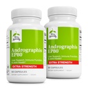 Terry Naturalmente Andrographis EP80 Força Extra - Saúde do Cérebro e Apoio Imune - Apoio à Saúde Conjunta para Ajuda Mobilidade - Suplemento Adaptogen para Energia e Apoio ao Fígado - 60 Cápsulas (Pacote de 2)