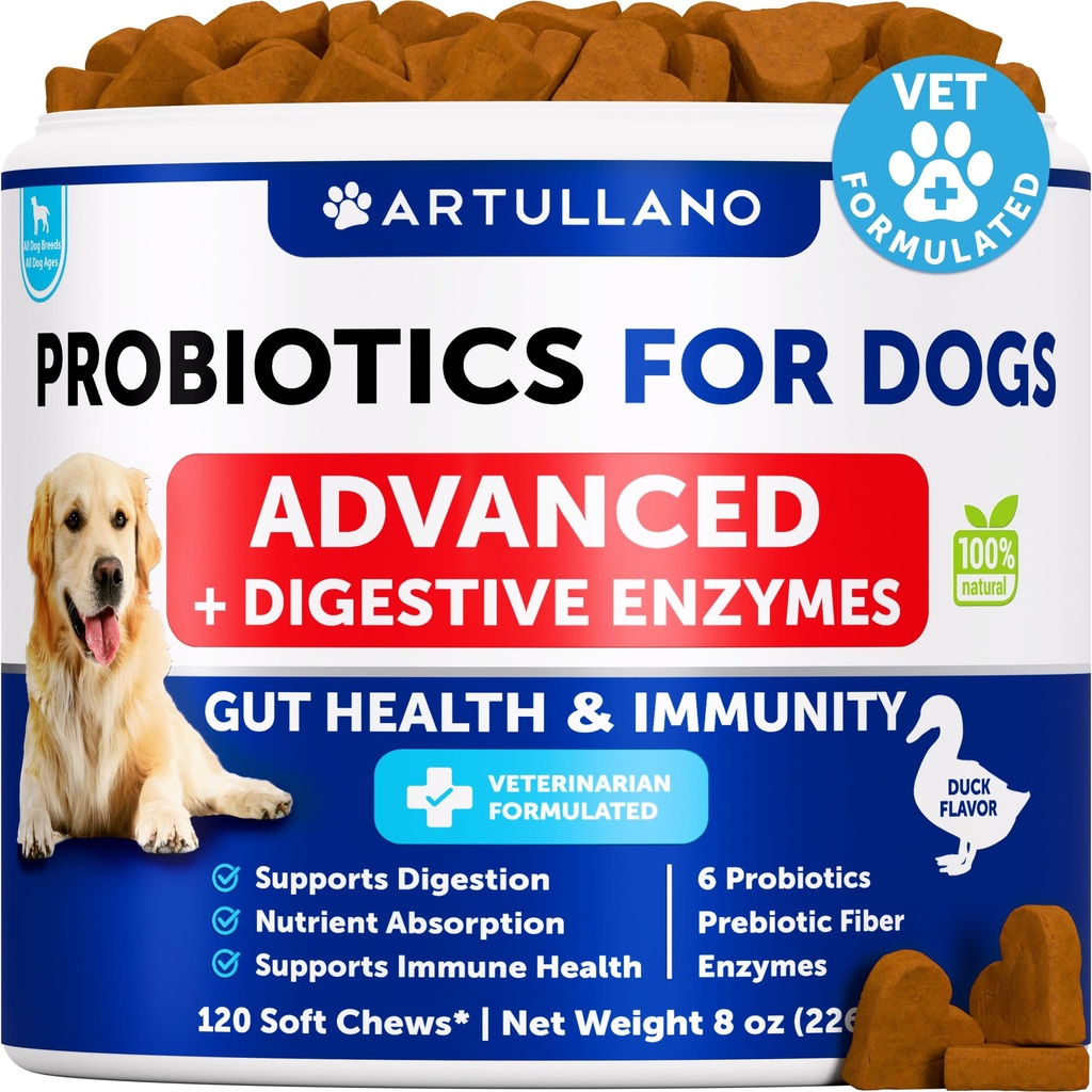 Probióticos para cães - Suporte Gut Saúde, Pele Comichão, Alergias, Imunidade, Balanço de Levedura - Dog Probióticos e Enzimas Digestivas com Prebióticos - Reduzir Diarréia, Gás - 120 Mastigações Probiótico para cães