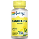 SOLARAY Dandelion Raiz saudável, Rim, Digestão e equilíbrio de água Suporte □ Não-GMO, Vegan, 100 VegCaps, 50 Serv
