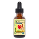 CRIANÇA ESSENCIAIS Echinacea para Crianças - Crianças Echinacea Drops, Tintura líquida, Suplemento gratuito de álcool para bebês, crianças, Crianças - Laranja natural, 1 Fl Oz (Pacote de 1)