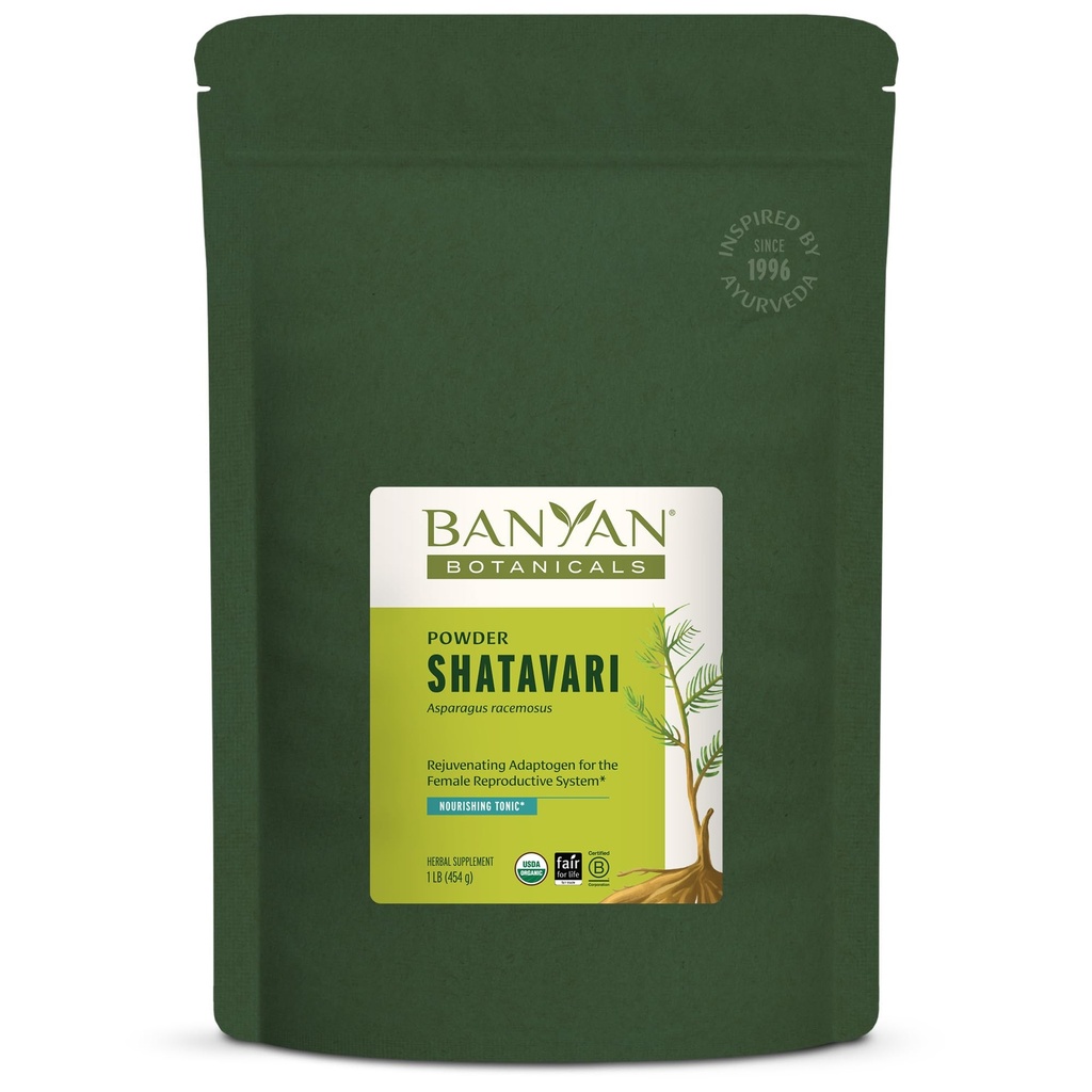 Banyan Botanicals Shatavari Powder – Organic Aspargus Racemosus Root Powder – Rejuvenescimento Adaptogen tônica que suporta um sistema reprodutivo saudável* – 1 lb. – Não-GMO Fonte sustentável Vegan