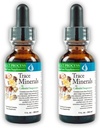 Morter Trace Minerals in Colloidal Suspension (2 Pack) Morter HealthSystem Best Process Alcaline — Nutrient Densa Trace Elements, Fulvic Minerals & Amino Acids