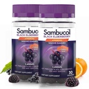 Sambucol Black Elderberry Gummies com Vitamina C & Zinco - Sambucus Elderberry Gummies para apoio imunológico, Altos antioxidantes, Glúten livre, Vegan, Elderberry com Zinco e Vitamina C - 30 Conde, 2 Pack