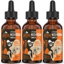 Complexo de Cogumelos lipossomais gotas 2000 MG - 20 Extratos de Cogumelo Orgânico - Fórmula Líquida Avançada para Imunidade, Cognitiva e Memória - Lions Mane Supplement, Reishi, Cordyceps, Chaga, 90 Servings