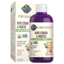 Jardim da Vida Orgânicos Elderberry & Zinco para Crianças Imune Suporte, Crianças Tosse & Muco Imune Xarope com Folha de Ivy, Vitamina C e Echinacea para Crianças, Alcohol-Free, No Added Sugars, 3.92 fl oz