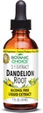 Escolha botânica Raíz de dente-de-leão, Alcohol Free Liquid Extract-Traditional Support for Liver Health, Cleanse Toxins, Aid Digestion-1 Fluid Ounce