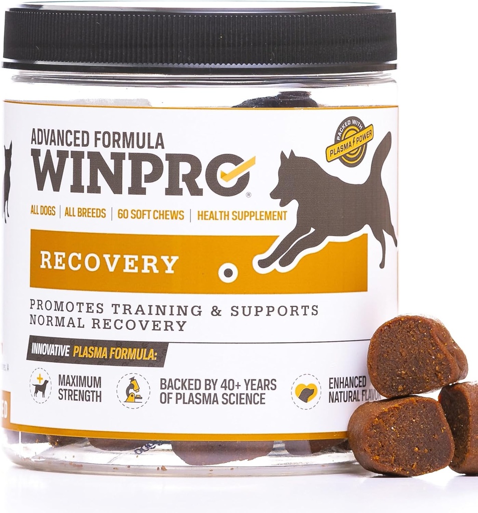 WINPRO Recuperação Mastiga para Cães, Desenvolvidos com Plasma para Cães Activos, Suporte ao Sistema Immune e Suporte ao Treinamento de Cães para Competição e Recuperação de Músculos Esportivos e Agilidade, 60 Conde, Made in USA