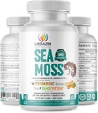 Pills Orgânico Irish Sea Moss - Dr Sebi Inspirado Seamoss Mistura com Açafrão, Raíz de Burdock & Besouro, Melhorado com Pimenta Negra - 60 Cápsulas