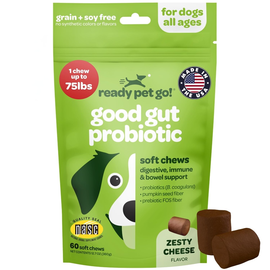 Mastigações probióticas para cães Gut Saúde e Probióticos saborosos para cães Digestive Saúde com abóbora cão Probióticos e enzimas digestivas