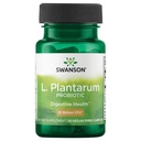 Swanson L. Plantarum - Suplemento Digestivo Promovendo Balanço Gastrointestinal e Regularidade Bowel - Fórmula Natural para ajudar a reduzir o inchaço - (30 Cápsulas Veggie)