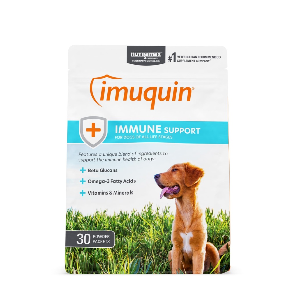Nutramax Laboratories Nutramax Imuquin Imune Health Supplement Powder for Dogs, with Beta Glucans, Marine Lipids, Vitaminas e Minerals, 30 Packets, Updated Version