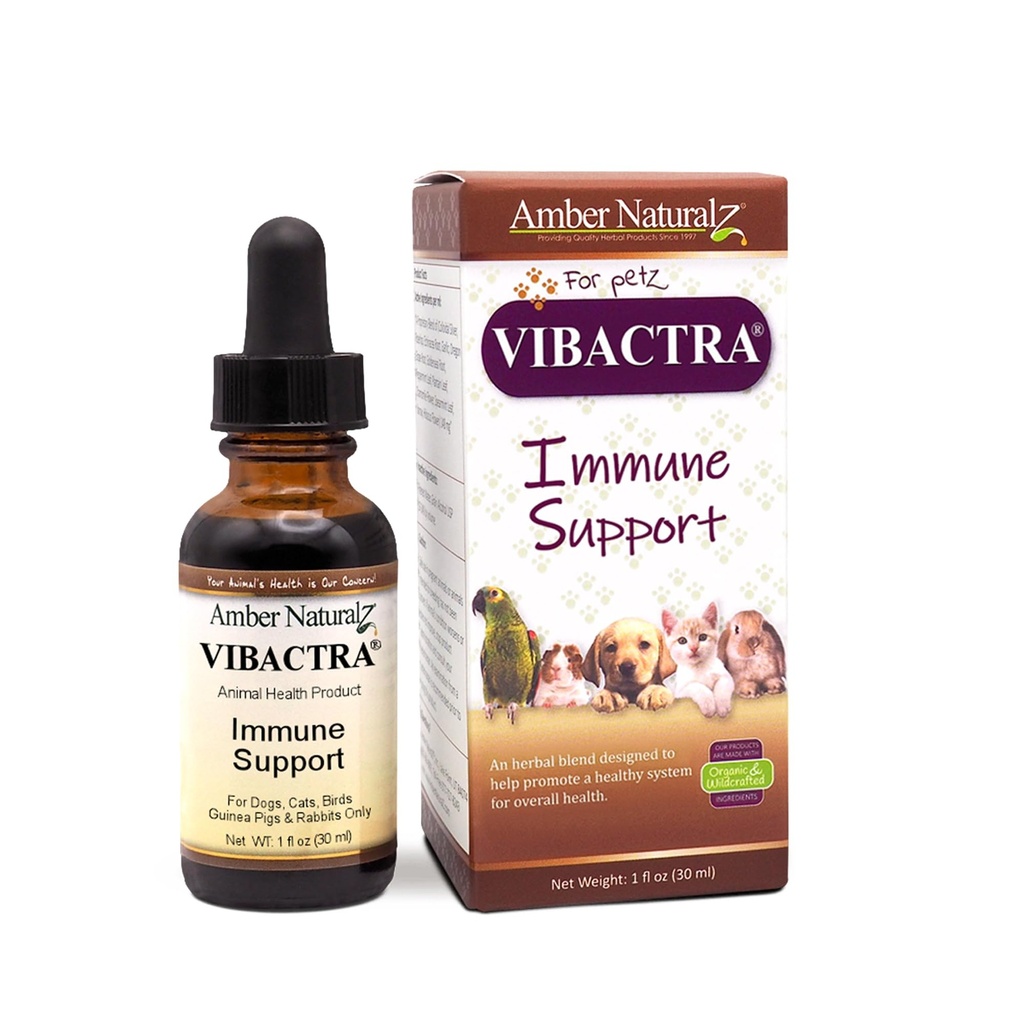 Amber NaturalZ Vibactra Immune Suporte Suplemento de ervas para cães, gatos, aves, porcos da Guiné e coelhos