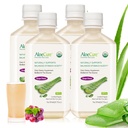 AloeCure USDA Organic Aloe Vera Juice Grape Flavor, Made Within 12 Hours of Harvest - Pure Aloe Vera Digestive & Imune Health Supplement, Helps Mantain Balanced Stomach Acidez, 16.7 onças x 4 Btls
