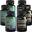 Boysea. Shilajit e Sea Moss Bundle- 90 Conde - Sea Moss, Black Seed Oil, Ashwagandha, Ginger & Shilajit, Rhodiola Rosea, Tudo em 1 Suplementos (3 Pc)
