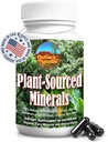 Fulvic Humic Mineral Mistura de Minerais Trace, Eletrólitos, Gut Health, Função Cognitiva, Hydration & Imune Support, Pure Vitality Formula for Wellness - 60 Cápsulas