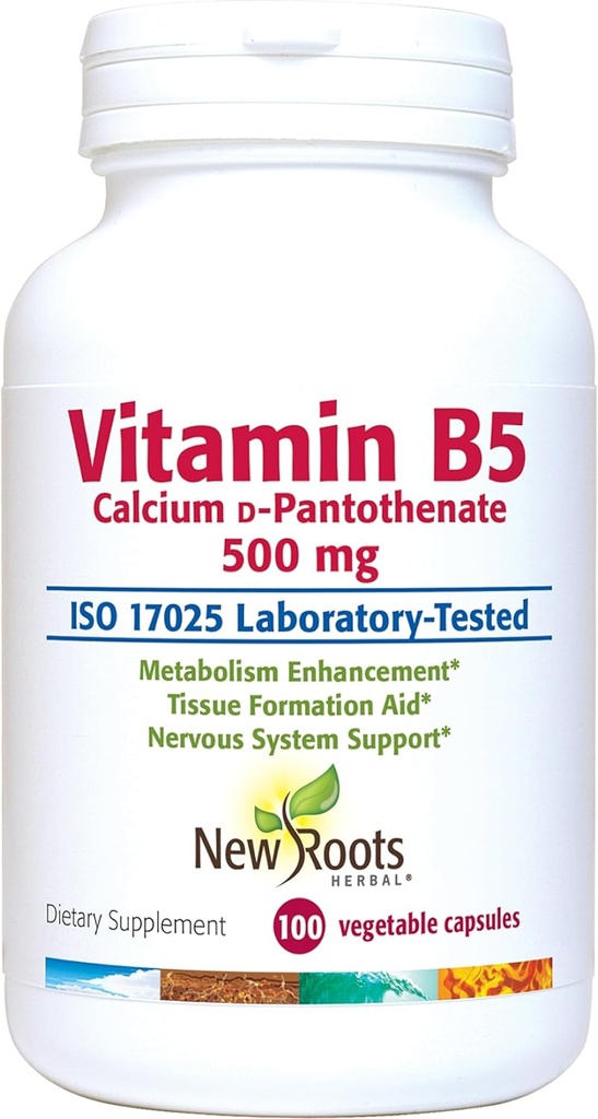 NOVO HERBAL HERBAL Vitamina B5 (500mg) com cálcio (Vitamina B5 Suplemento de Ácido Pantoténico (100 Cápsulas)