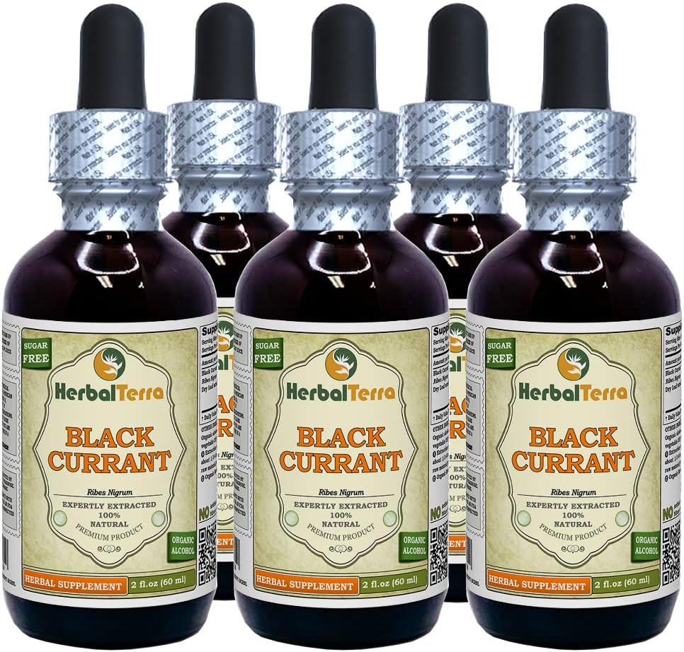 Groselha preta (Ribes nigrum) Tintura, folhas secas Extrato Líquido (Nome da marca: HerbalTerra, Proudly Made in USA) 5x2 fl.oz (5x60 ml)