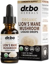 Leões Mane Mushroom Supplement Drops - Leão Orgânico Mane Mushroom Tintura líquida para foco, Nevoeiro Cérebro Saúde Suplementos - Vegan Herbal Nervine Nootropic Organic Lions Liquid Supplement Extract 1oz