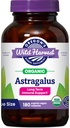 Cápsulas de Astragalus Orgânicas Não-GMO de Colheita Selvagem de Oregon Suporte Imune a longo prazo Suplementos Herbais-180
