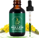 Mullein gotas para pulmões 2 Fl Oz, Natural Mullein gotas de folha, rápida absorção líquido Mullein Extrair suplemento, Lung Cleanse, 1 mês de fornecimento