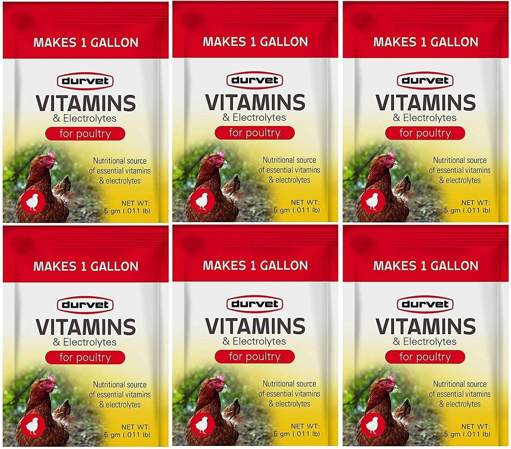 Durvet 6 pacote de vitaminas e eletrólitos para aves, 5 gramas, faz 6 galões